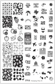 PNS Stamping Plate 30