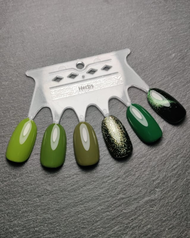 Basil (Herbs) Cateye