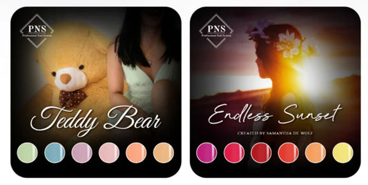 Flyer Teddy Bear/Endless Sunset Maart 2026