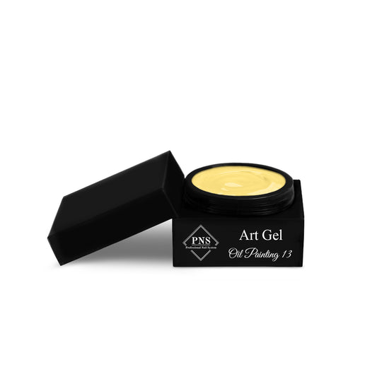 PNS Art Gel Oil Painting 13