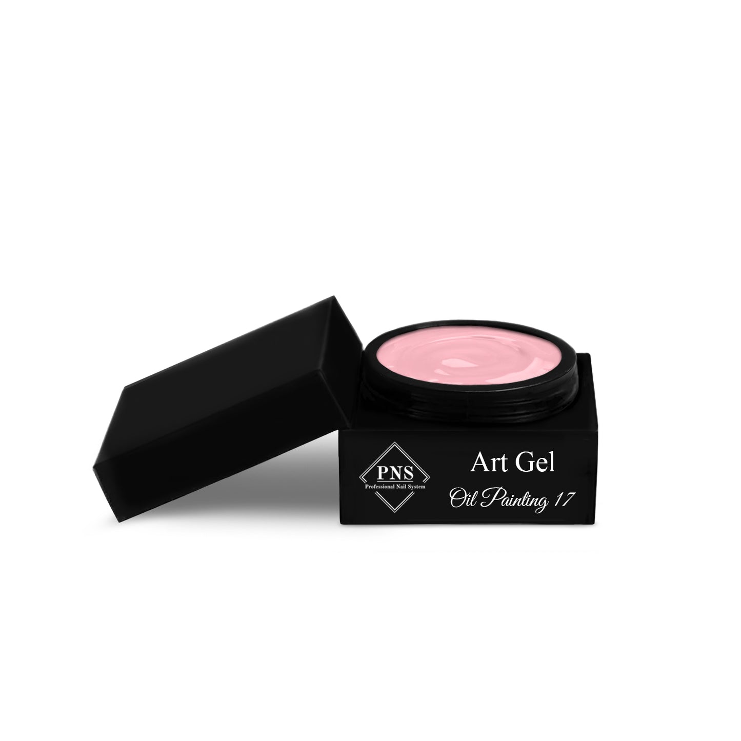PNS Art Gel Oil Painting 17